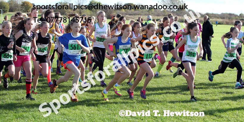 Start of the under-13 girls Sherman Cup, Temple Park, South Shields. Photo: David T. Hewitson/Sports for All Pics